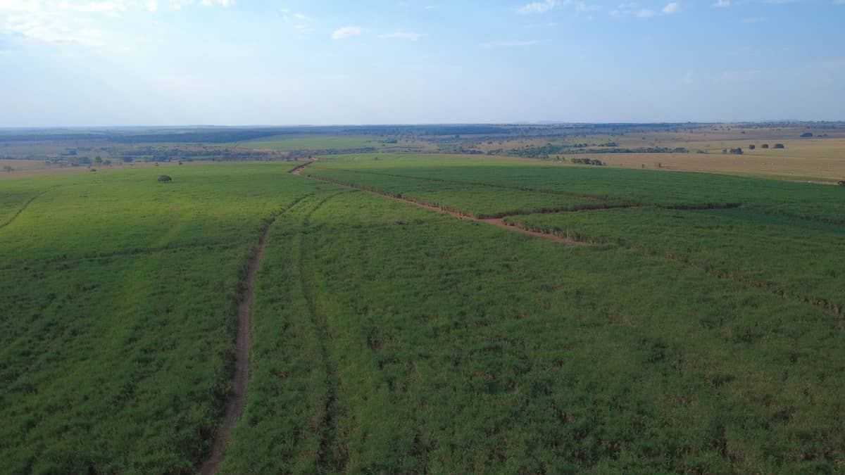 FAZENDA 33 ALQUEIRES DISPONIVEL EM UNIÃO DE MINAS MG