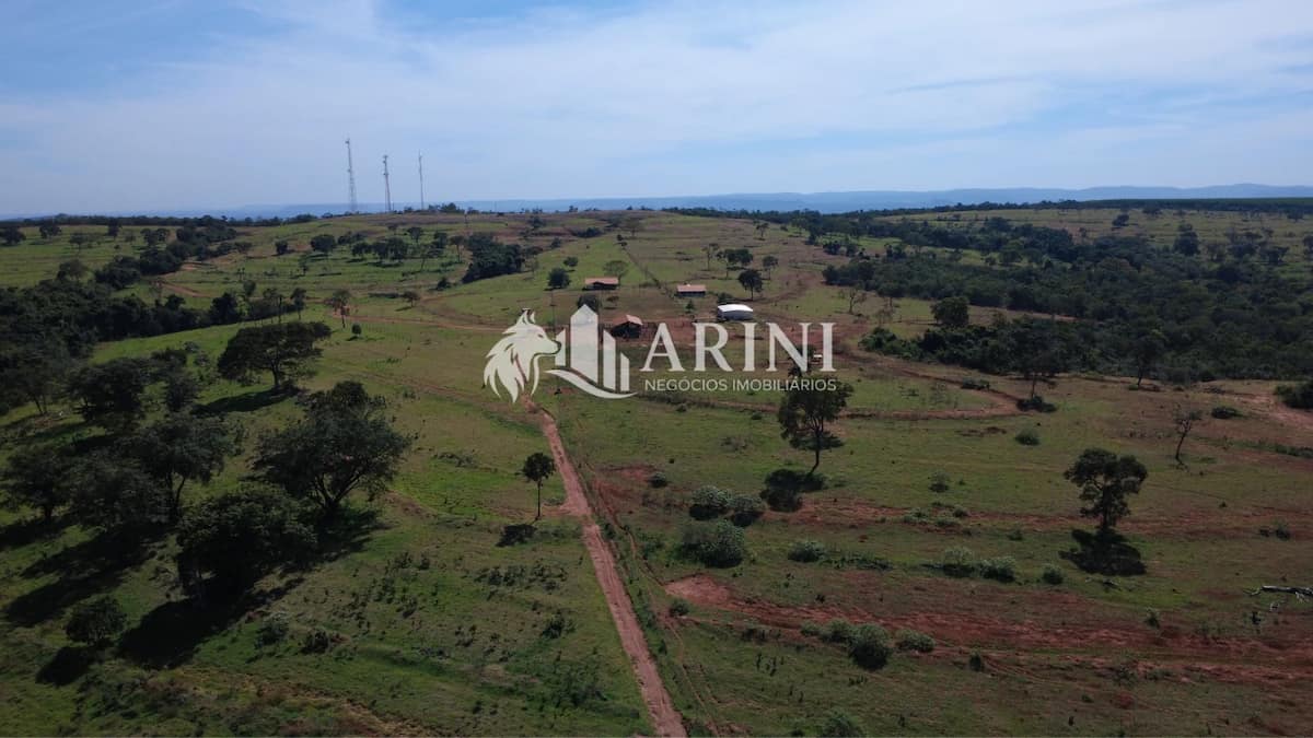 FAZENDA 46 ALQUEIRES CAMPINA VERDE MG