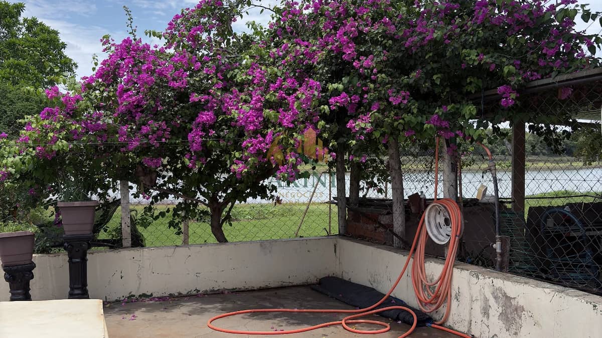 RANCHO GUINAS BAR